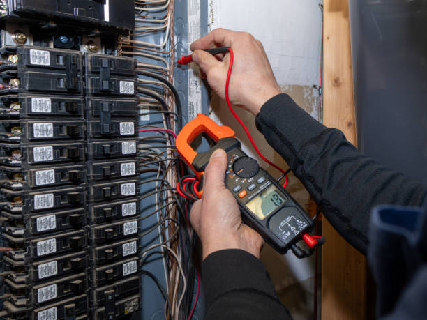 Best Ceiling Fan Installation Electrician  in Gasport, NY